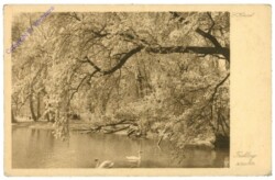 Koppel, C.: Frühlingszauber