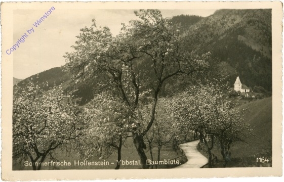 Hollenstein, Ybbstal, Baumblüte