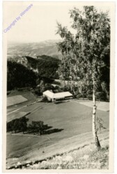 Trattenbach, Gasthaus