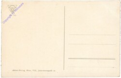 Waidhofen an der Ybbs, Ortsansicht