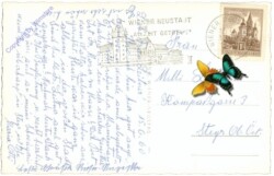 Wiener Neustadt, Hauptplatz mit Mariensäule