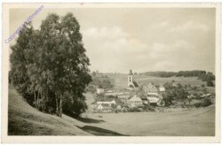 Niederwaldkirchen, Ortsansicht