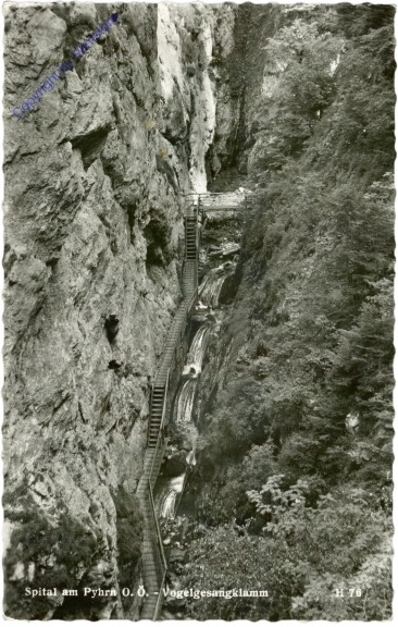 ak203763 Spital am Pyhrn, Vogelgesangklamm