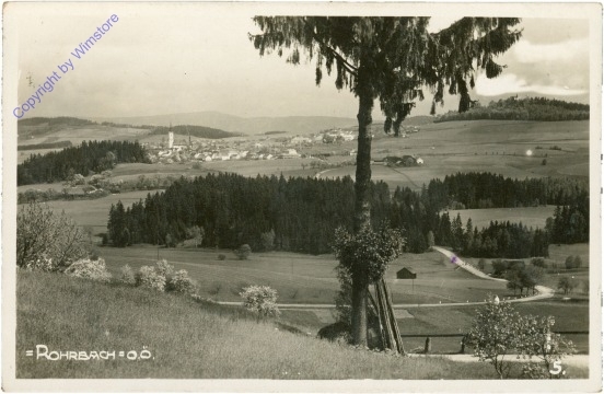 ak203769 Rohrbach im Mühlkreis, Ortsansicht