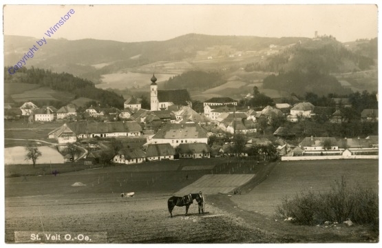 St. Veit im Mühlkreis, Ortsansicht