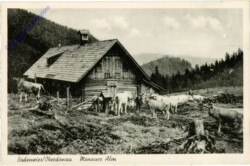 Weyer, Bodenwies, Menauer Alm