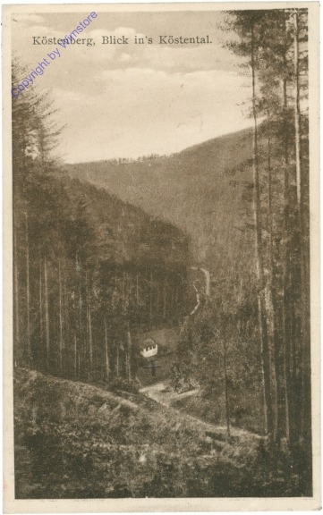 ak203902 Köstenberg, Blick ins Köstental