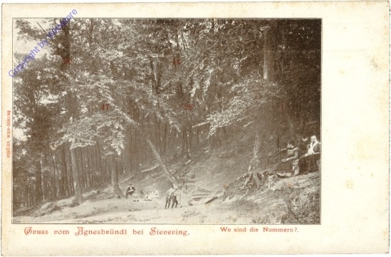 Wien 19, Gruss vom Agnesbründl bei Sievering