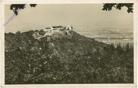 ak203937 Wien 19, Leopoldsberg