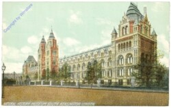London, South Kensington, Natural History Museum
