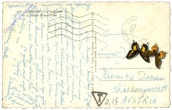 ak204067a Lourdes, Ansicht