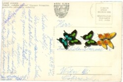 ak204123a Lazne Jesenik, Ansicht