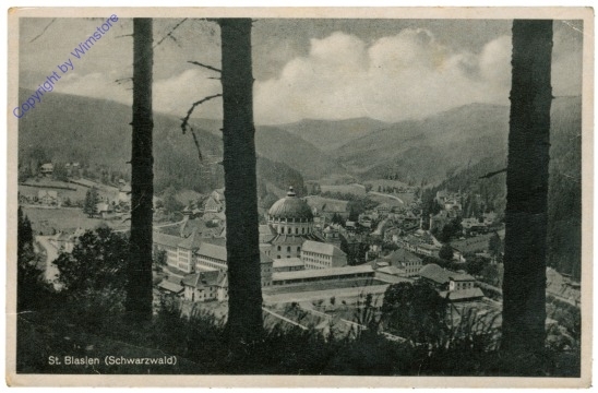 ak204161 St. Blasien, Ortsansicht