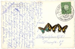 Bad Lippspringe, Kurhaus