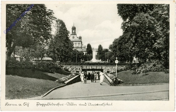 Bonn, Ansicht