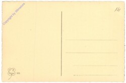 Dessau, Das Dessauer Theater