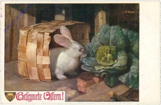 Hase im Korb mit Kohl