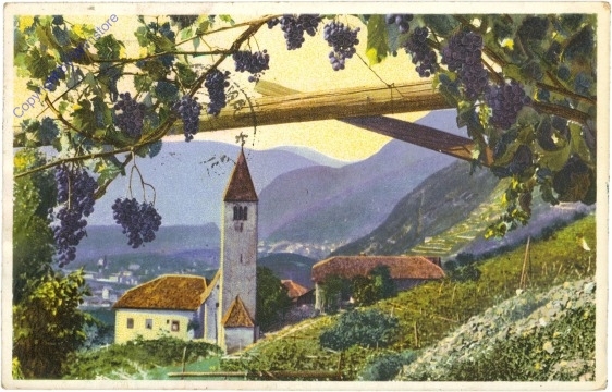 ak204625 Bolzano (Bozen), Ansicht