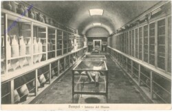 Pompei, Interno del Museo