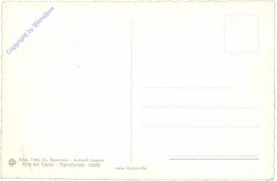 Gardesana, vista su Riva