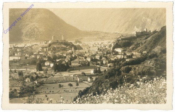 ak204866 Bellinzona, Panorama sud