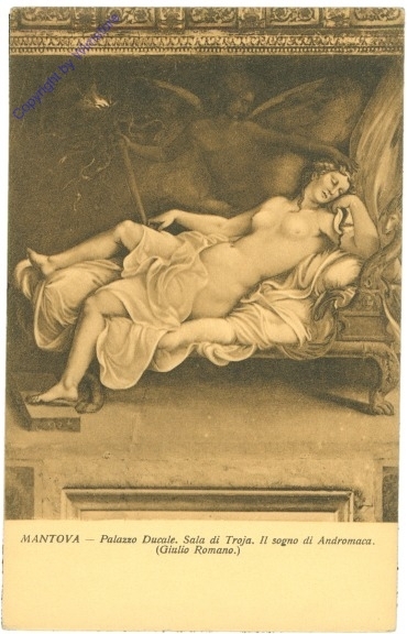 Mantova, Palazzo Ducale, Sala degli Troja