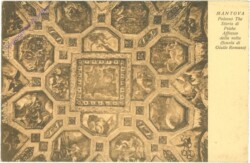 Mantova, Palazzo The Storia di Psiche