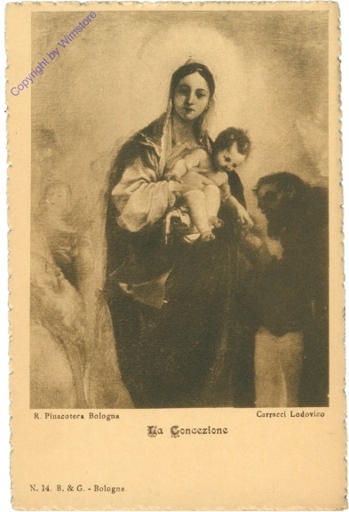ak204971 Bologna, R. Pinacoteca, La Concezione