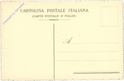 Bologna, R. Pinacoteca, Maddalena nes deserto