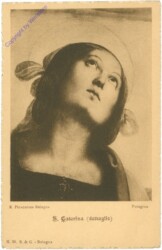 Bologna, R. Pinacoteca, S. Caterina (dettaglio)