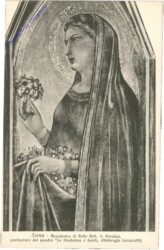 Siena, Accademia di Belle Arti, S. Dorotea