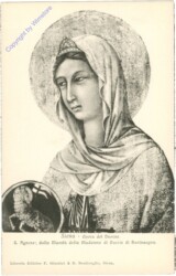 Siena, Opera del Duomo, S. Agnese