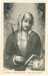 Siena, Accademia di Belle Arti, Santa Caterina