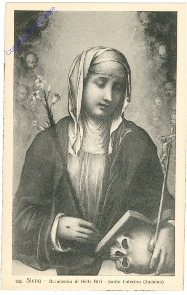 Siena, Accademia di Belle Arti, Santa Caterina