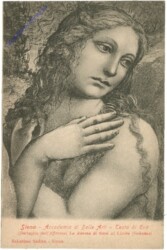 Siena, Accademia di Belle Arti, Testa di Eva