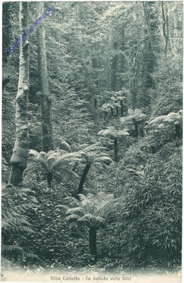 Como, Villa Carlotta, La vallata delle felci