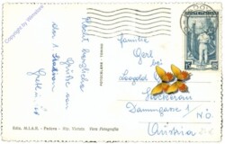 Padova, Basilica di S. Antonio