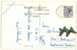 ak205661a Merano (Meran), Ortansicht