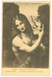 Milano (Mailand), Biblioteca Ambrosiana, S. Giovanni Battista nel deserto, Salaini