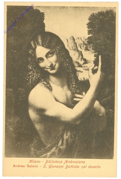 ak205748 Milano (Mailand), Biblioteca Ambrosiana, S. Giovanni Battista nel deserto, Salaini