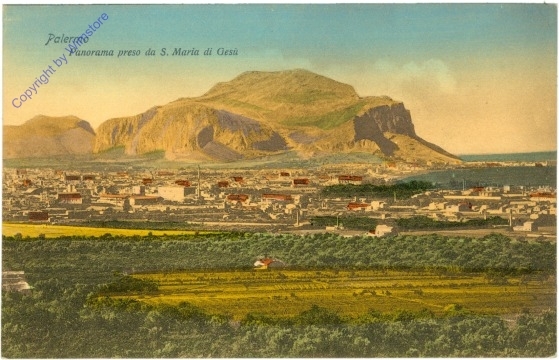 ak205862 Palermo, Panorama preso da S. Maria di Gesu