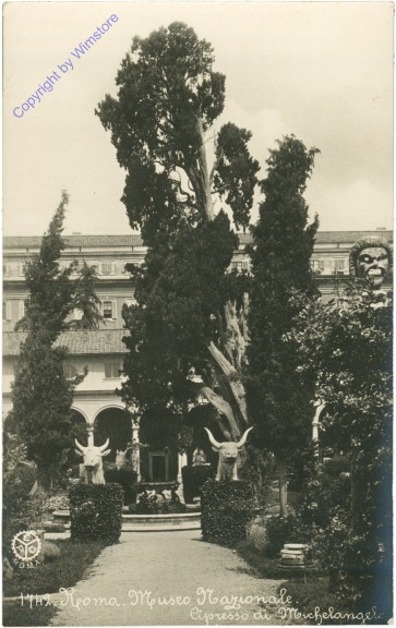 Roma (Rom), Museo Nazionale, Cipresso di Michelangelo