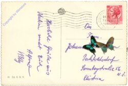 Venezia (Venedig), Panorama con Gondola