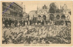 Venezia (Venedig), Piccioni in Piazza S. Marco