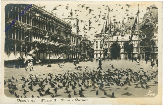 Venezia (Venedig), Piazza S. Marco, Piccioni