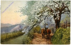 Heimkehr vom Feld