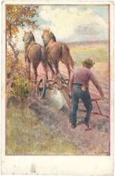 Feldarbeit