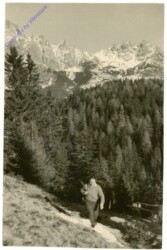 Der Wandersmann