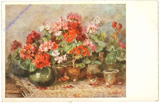 Geranien