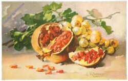 Granatapfel und Trauben